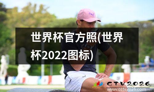 世界杯官方照(世界杯2022图标)