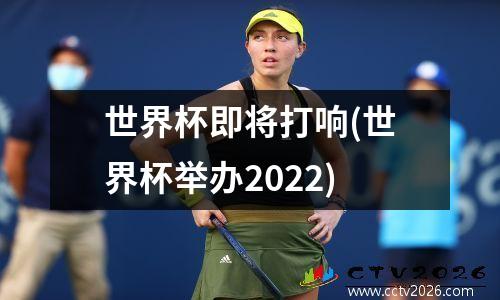 世界杯即将打响(世界杯举办2022)