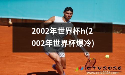 2002年世界杯h(2002年世界杯爆冷)