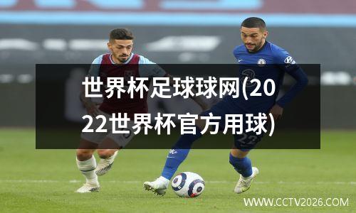 世界杯足球球网(2022世界杯官方用球)