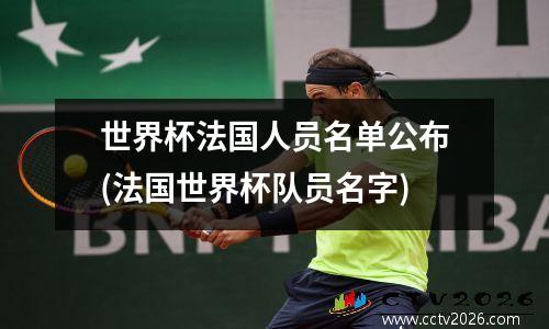 世界杯法国人员名单公布(法国世界杯队员名字)