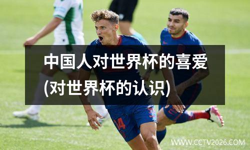 中国人对世界杯的喜爱(对世界杯的认识)