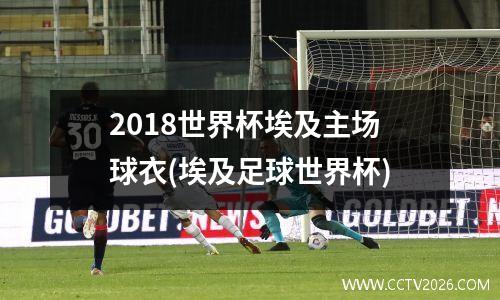 2018世界杯埃及主场球衣(埃及足球世界杯)