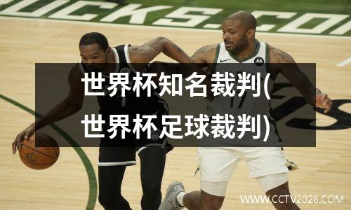 世界杯知名裁判(世界杯足球裁判)