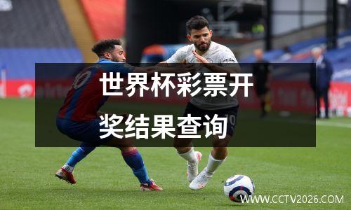 世界杯彩票开奖结果查询