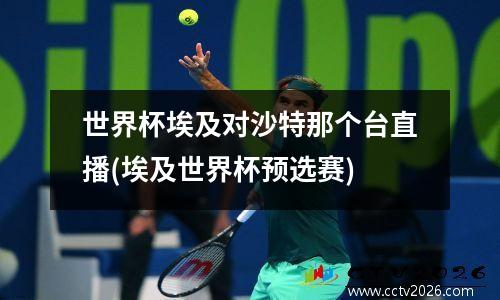 世界杯埃及对沙特那个台直播(埃及世界杯预选赛)
