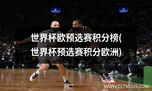 世界杯欧预选赛积分榜(世界杯预选赛积分欧洲)