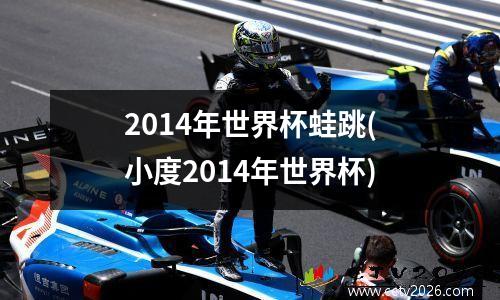 2014年世界杯蛙跳(小度2014年世界杯)