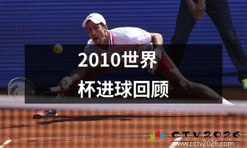 2010世界杯进球回顾