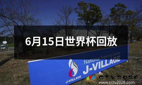 6月15日世界杯回放