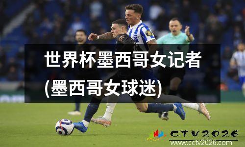世界杯墨西哥女记者(墨西哥女球迷)