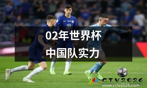 02年世界杯中国队实力