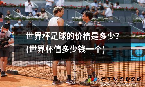 世界杯足球的价格是多少？(世界杯值多少钱一个)
