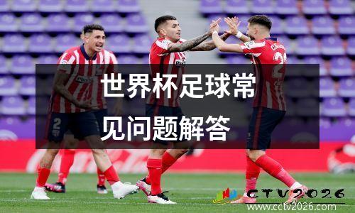 世界杯足球常见问题解答