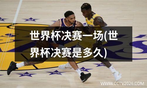 世界杯决赛一场(世界杯决赛是多久)