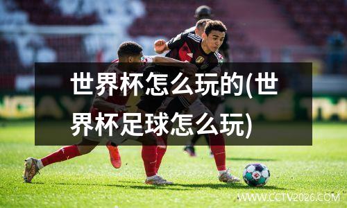世界杯怎么玩的(世界杯足球怎么玩)