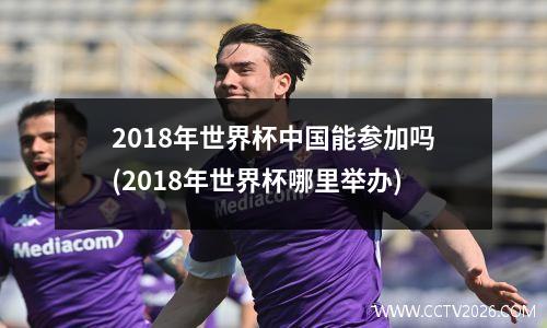 2018年世界杯中国能参加吗(2018年世界杯哪里举办)