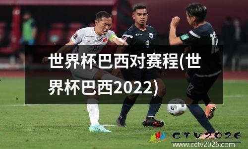 世界杯巴西对赛程(世界杯巴西2022)
