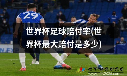 世界杯足球赔付率(世界杯最大赔付是多少)