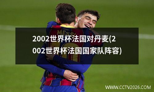 2002世界杯法国对丹麦(2002世界杯法国国家队阵容)