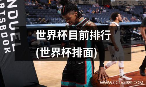 世界杯目前排行(世界杯排面)