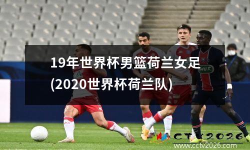 19年世界杯男篮荷兰女足(2020世界杯荷兰队)