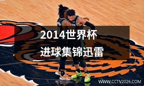 2014世界杯进球集锦迅雷
