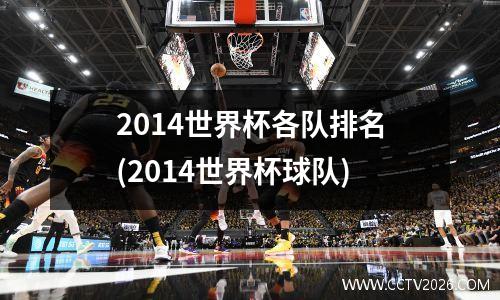 2014世界杯各队排名(2014世界杯球队)