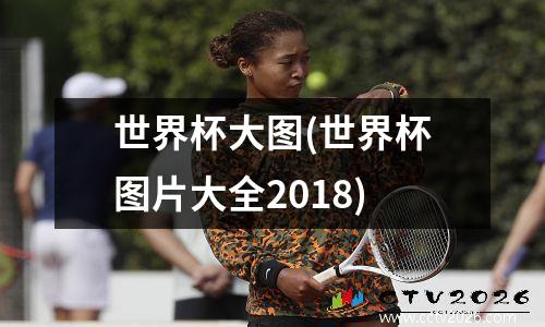 世界杯大图(世界杯图片大全2018)