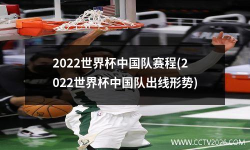 2022世界杯中国队赛程(2022世界杯中国队出线形势)