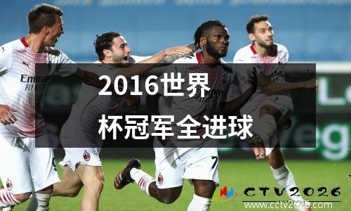 2016世界杯冠军全进球