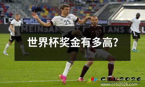 世界杯奖金有多高？