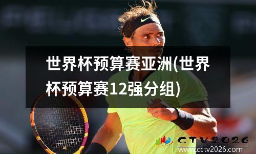 世界杯预算赛亚洲(世界杯预算赛12强分组)