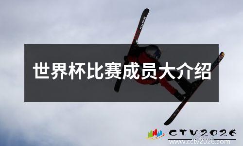世界杯比赛成员大介绍