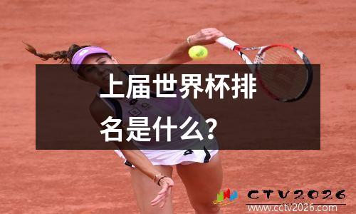 上届世界杯排名是什么？