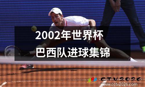 2002年世界杯巴西队进球集锦