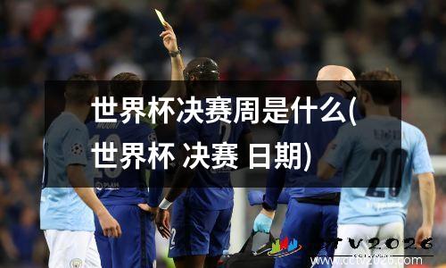 世界杯决赛周是什么(世界杯 决赛 日期)
