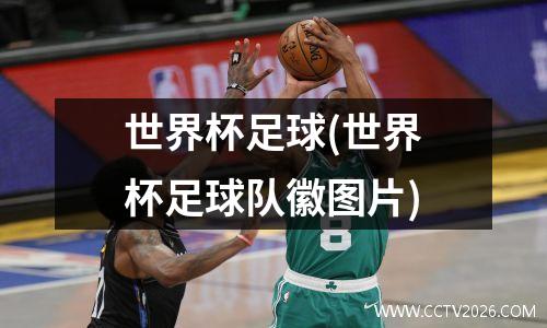 世界杯足球(世界杯足球队徽图片)