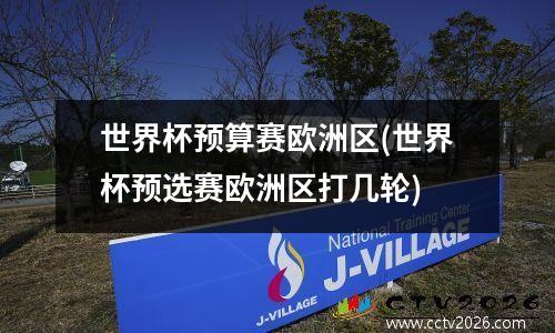 世界杯预算赛欧洲区(世界杯预选赛欧洲区打几轮)
