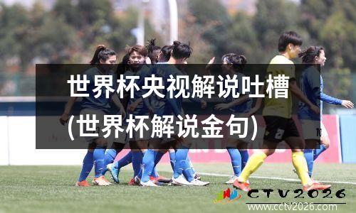 世界杯央视解说吐槽(世界杯解说金句)