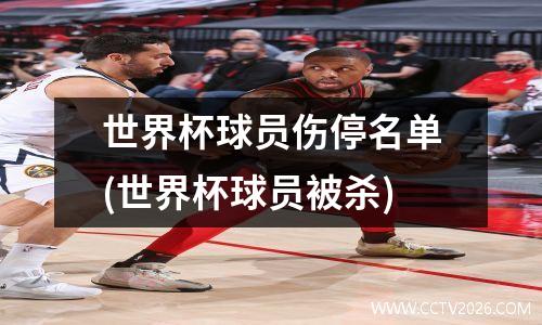 世界杯球员伤停名单(世界杯球员被杀)