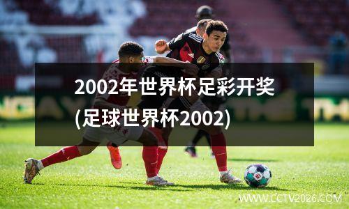 2002年世界杯足彩开奖(足球世界杯2002)