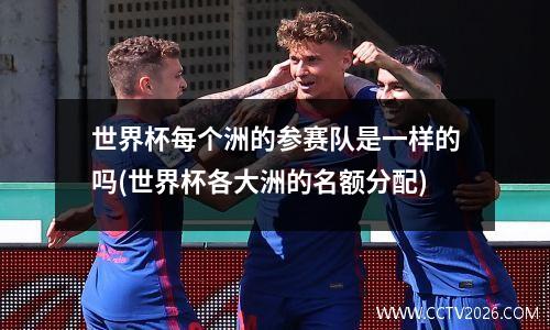 世界杯每个洲的参赛队是一样的吗(世界杯各大洲的名额分配)