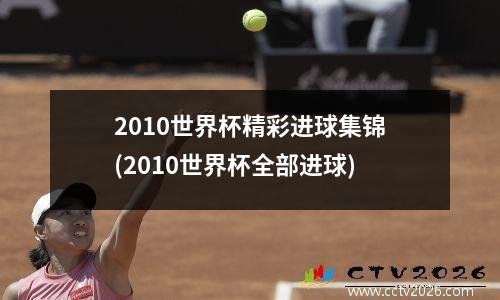 2010世界杯精彩进球集锦(2010世界杯全部进球)