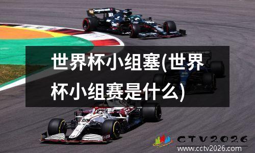 世界杯小组塞(世界杯小组赛是什么)