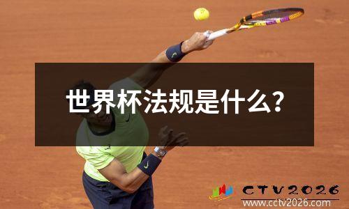 世界杯法规是什么？