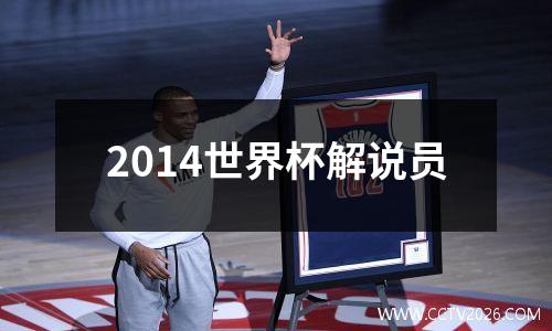 2014世界杯解说员