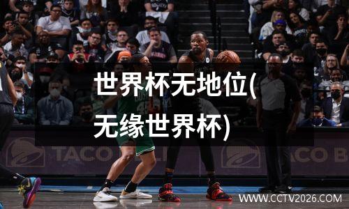 世界杯无地位(无缘世界杯)