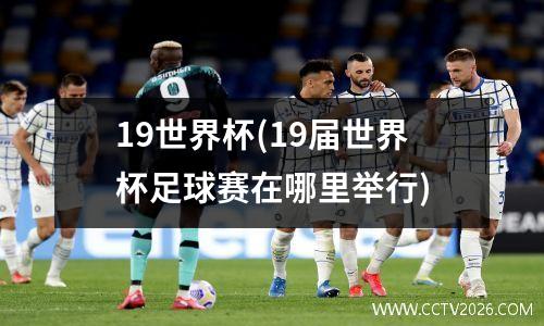 19世界杯(19届世界杯足球赛在哪里举行)