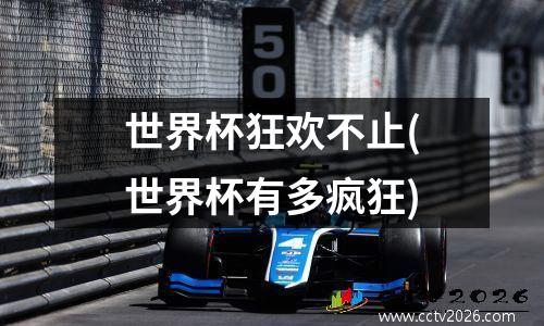世界杯狂欢不止(世界杯有多疯狂)